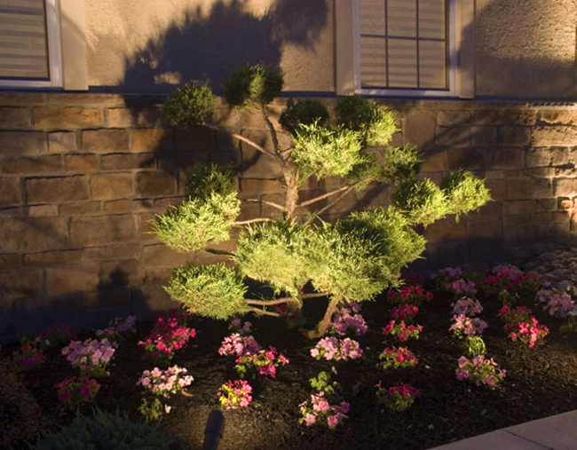 lighting After Sunset