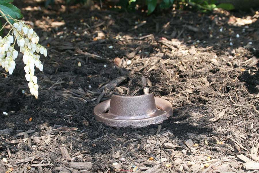 A CAST Craftsman Bronze Ground Light installed in a bed of mulch