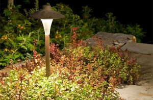 Landscape Lighting