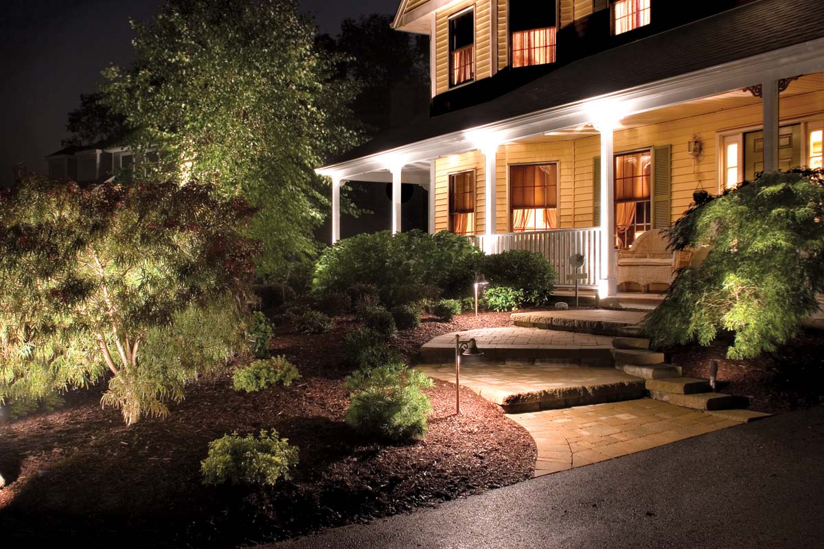 landscape lighting shining on the bush and on the house