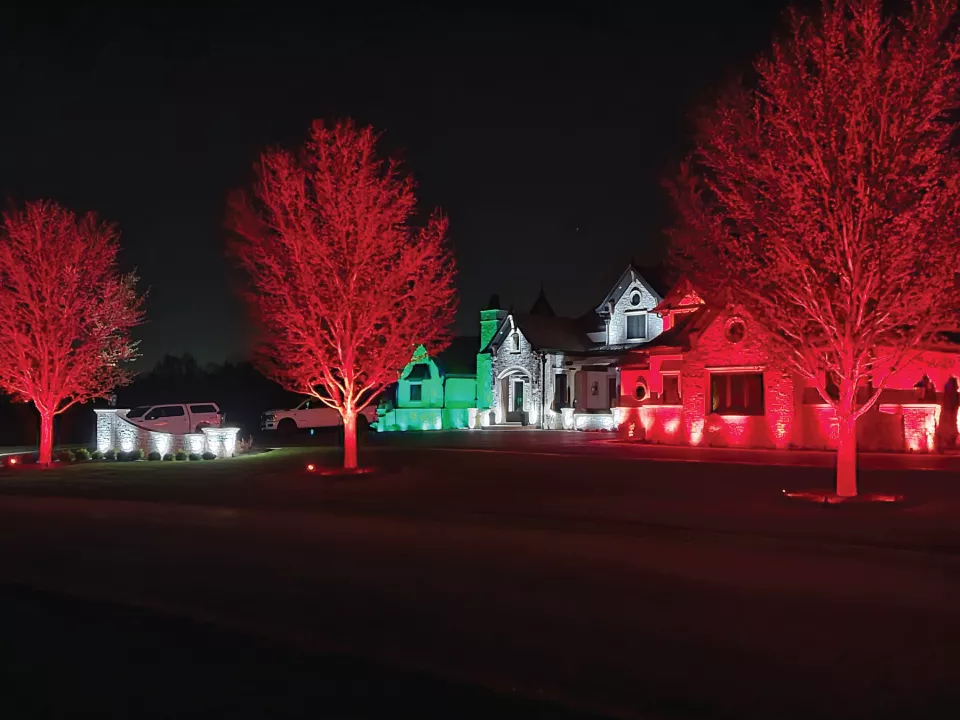 trees-lit-red-along-path-at-night