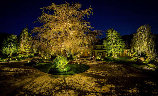 Cast Lighting tree uplighting