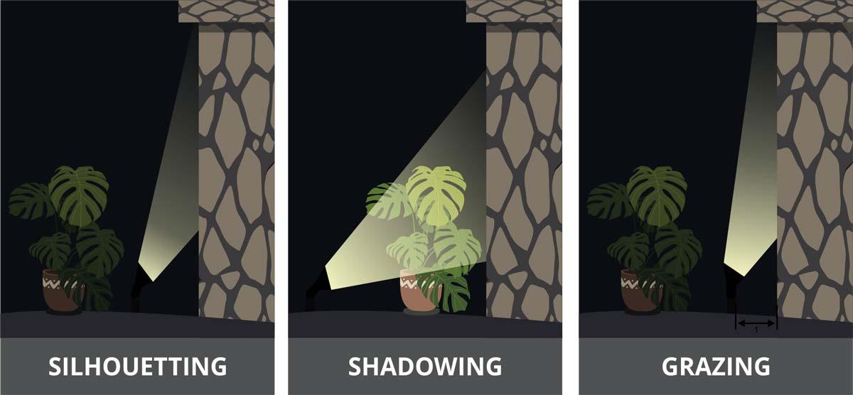 Illustration showing silhouetting, shadowing, and grazing types of lighting cast on a monstera plant at night.