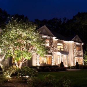 Landscape Lighting