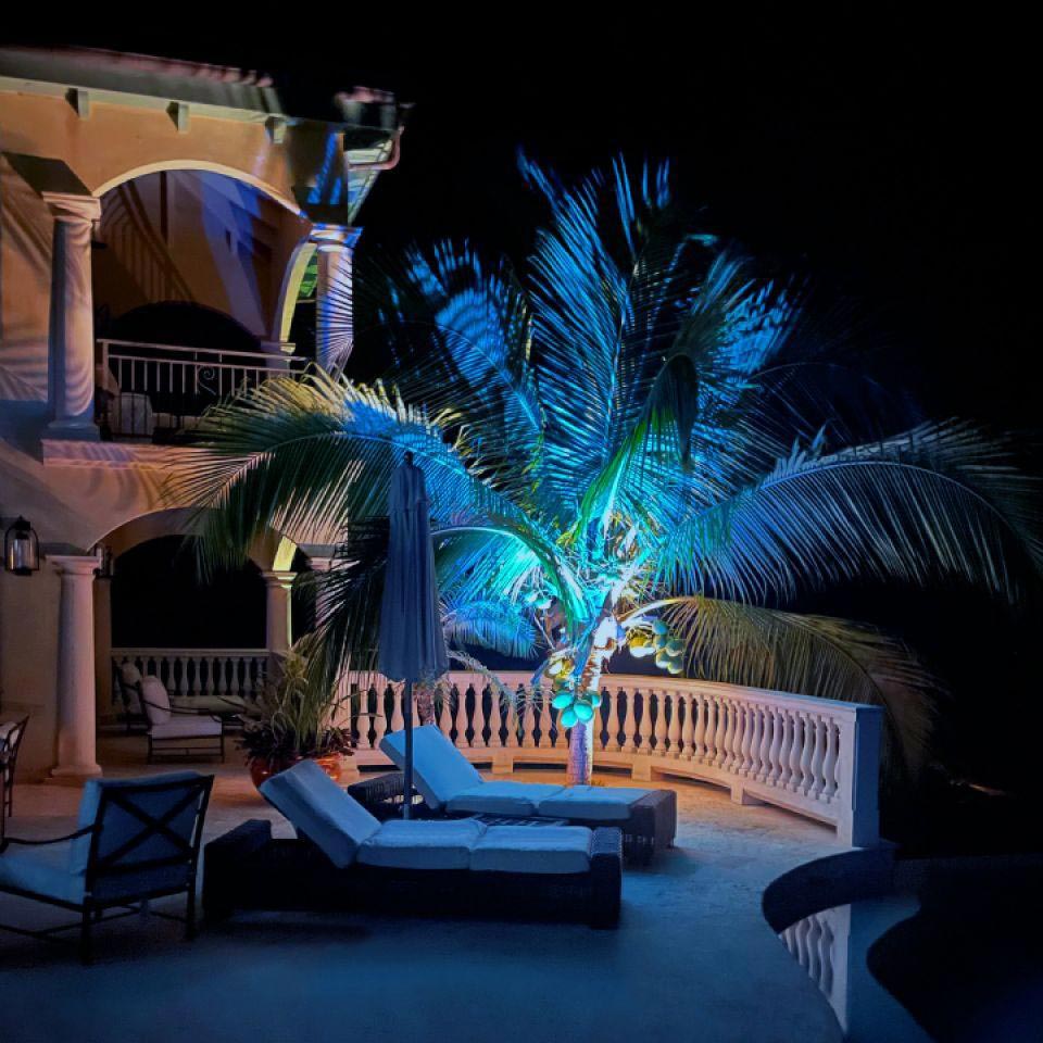 Poolside area with outdoor furniture alongside an illuminated palm tree