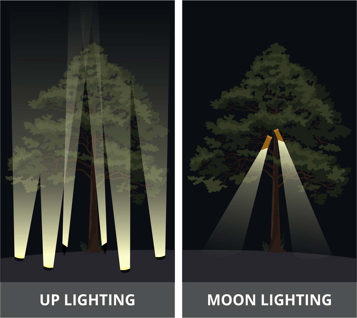 Illustration showing differences in up lighting and moon lighting