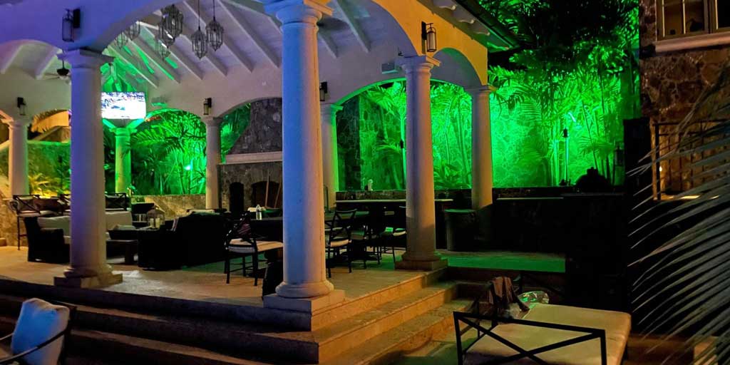 patio-with-trees-lit-with-green-lighting