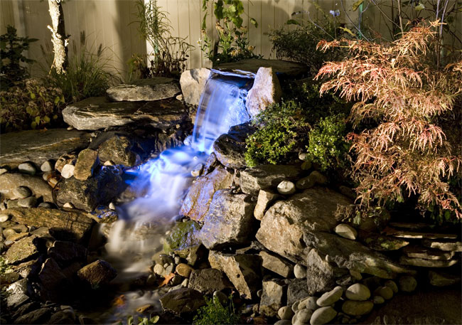 Ponds & Water Features