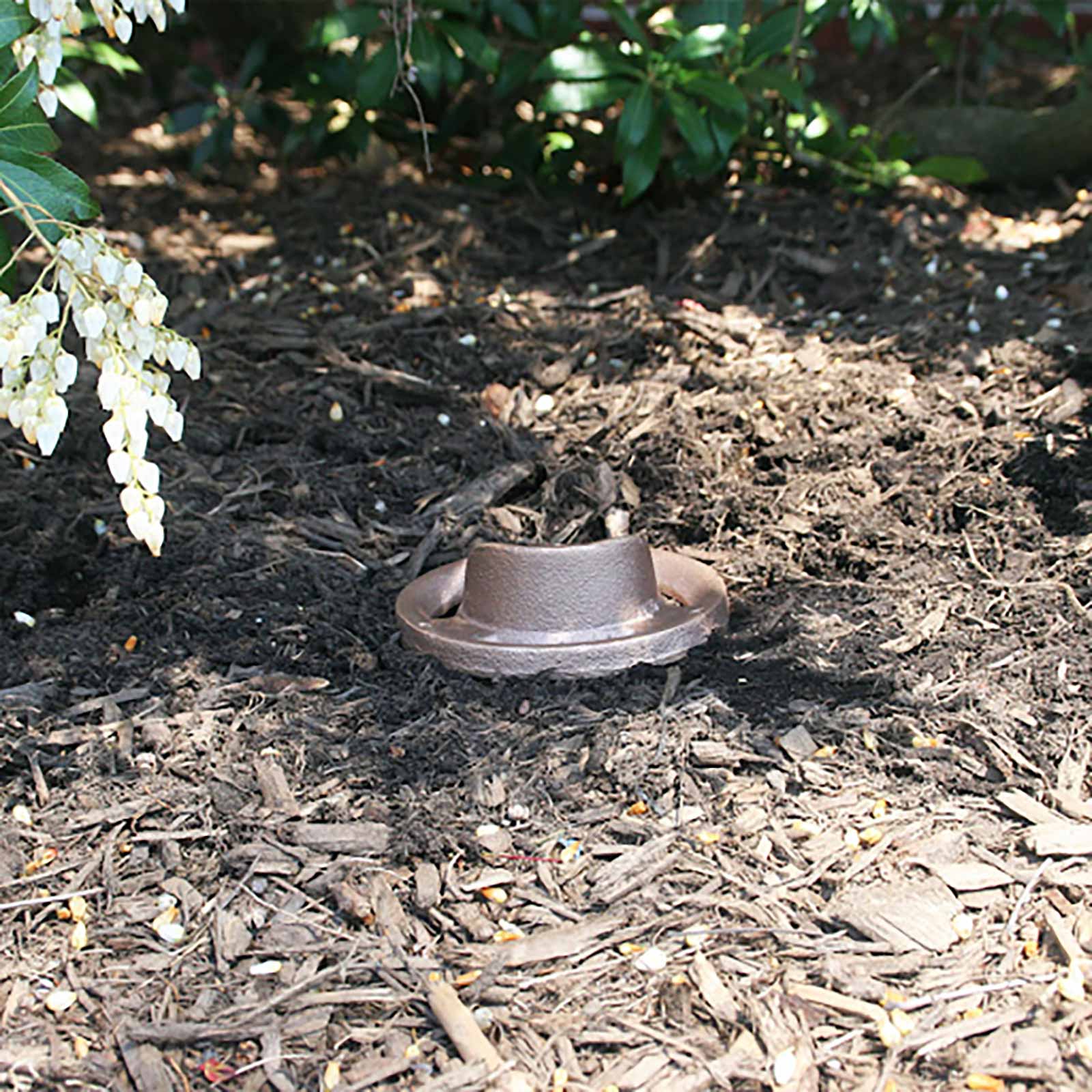 Landscape Lighting Trends
