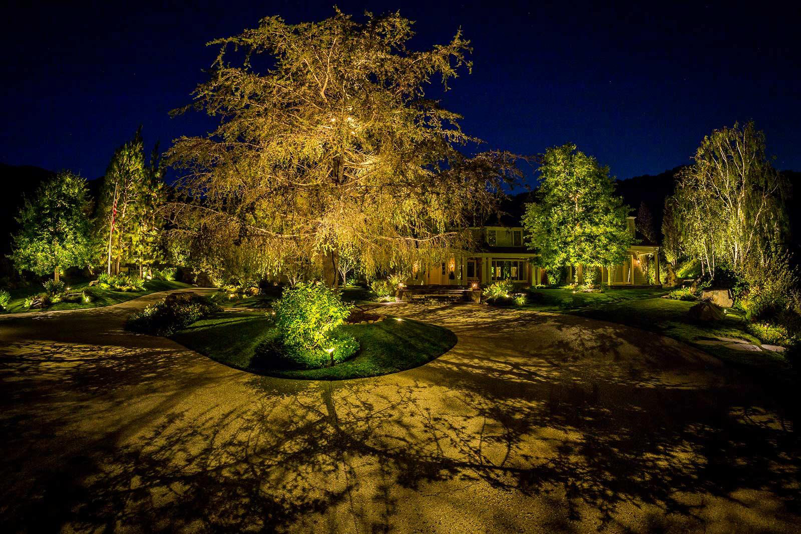front-yard-trees-and-landscaping-illuminated-at-night