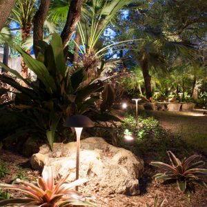 Landscape Lighting