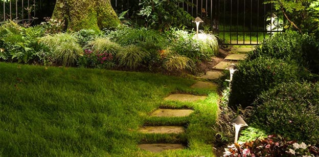 Green yard at night that has cast lighting