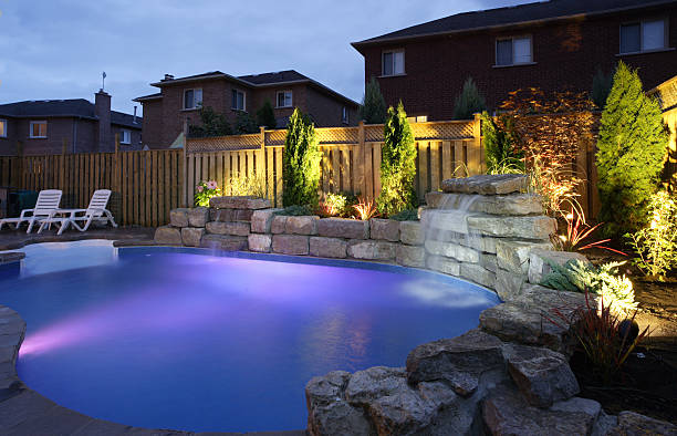 Purple-lit pool at night with illuminated plants around shorter stone wall at pool.
