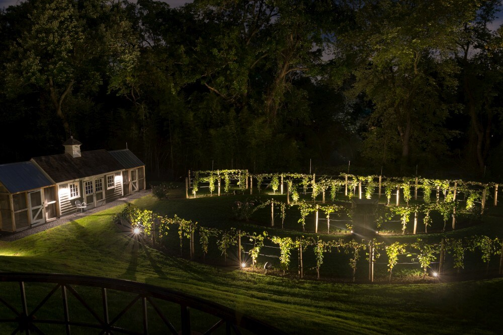 grape orchard that has the vines and greenhouse illuminated 