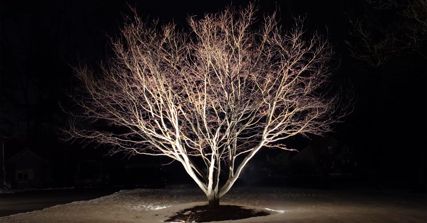 Adjusting Beam Angles for Landscape Lighting Design