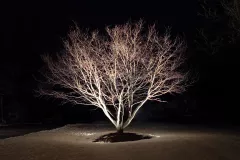 Adjusting Beam Angles for Landscape Lighting Design