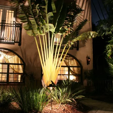 Architectural Styles & Features