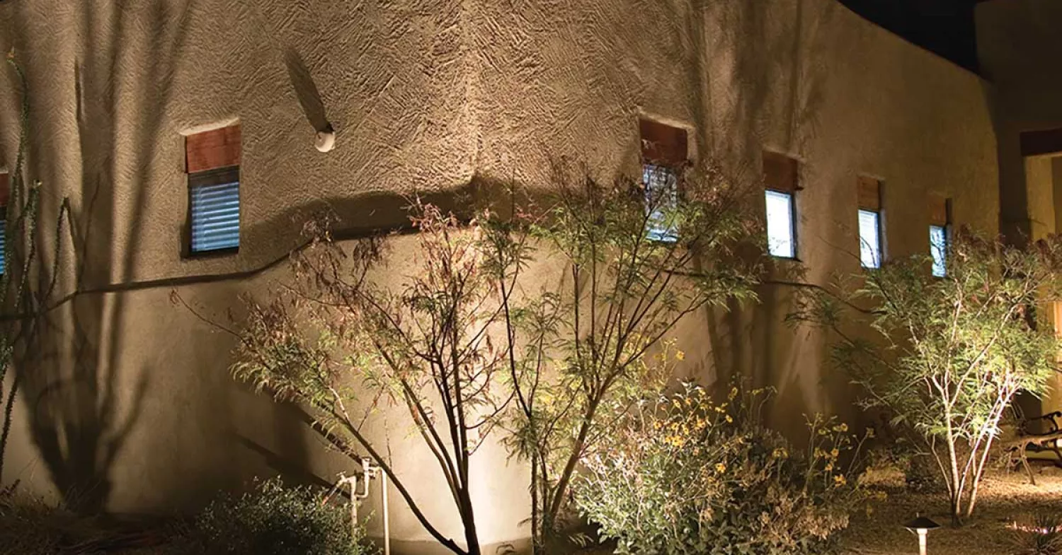 Landscape Lighting Techniques: The Art of Wall Grazing