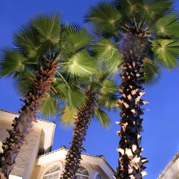 Architectural Styles & Features