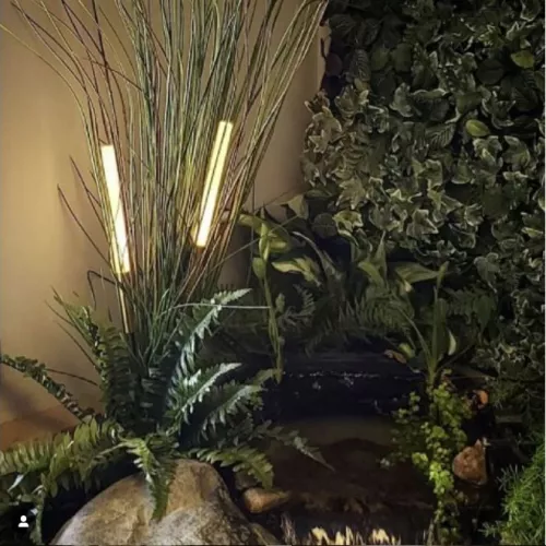 Bamboo Lights