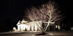 Top 5 Ways to Brighten Your Yard This Winter