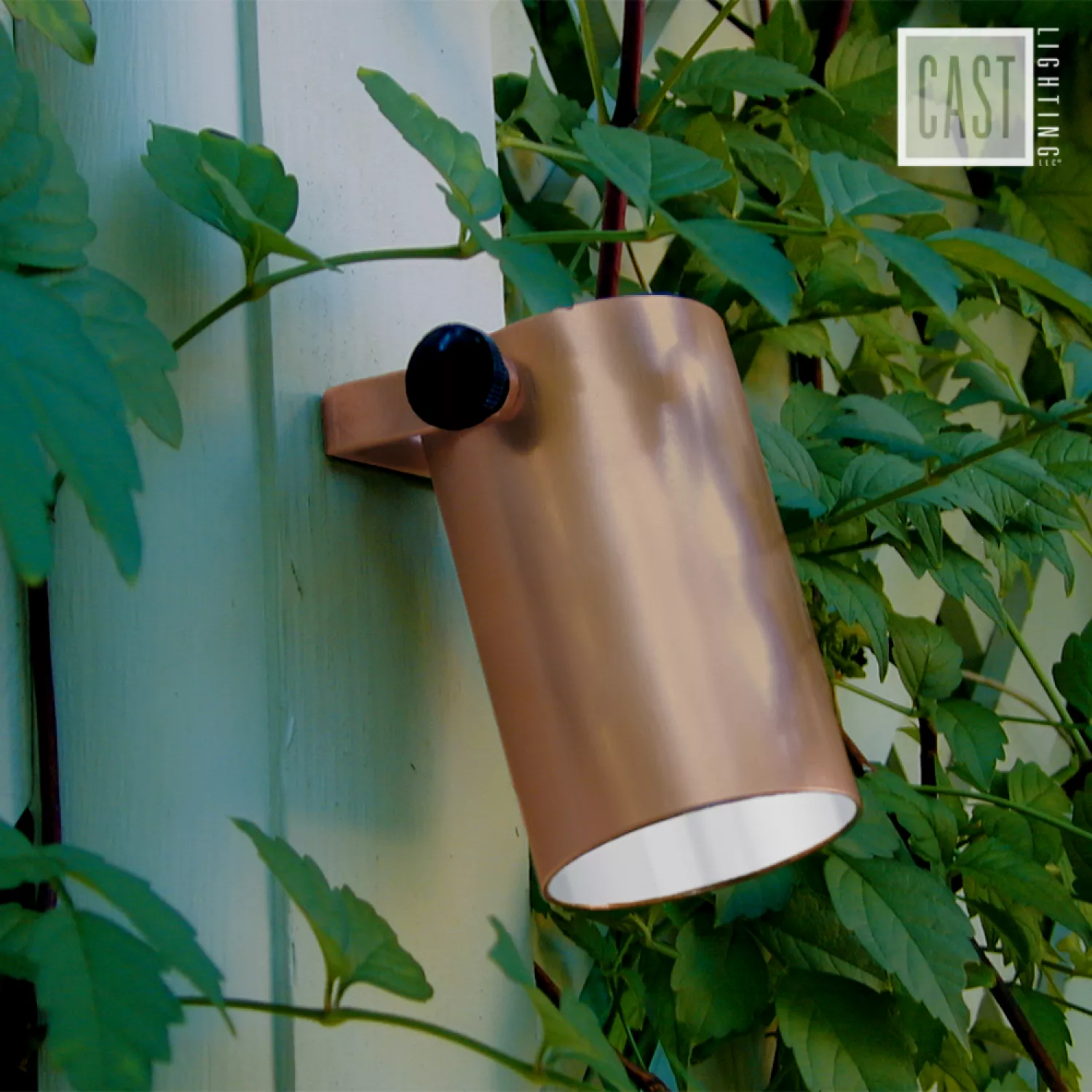CAST Niche Light