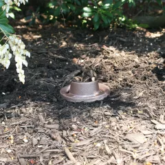 CAST Craftsman Series Bronze Ground Lights