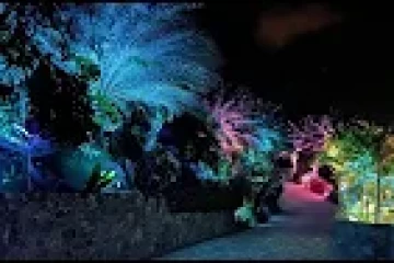 How to Factory Reset the SOURCE Color Changing Fixtures