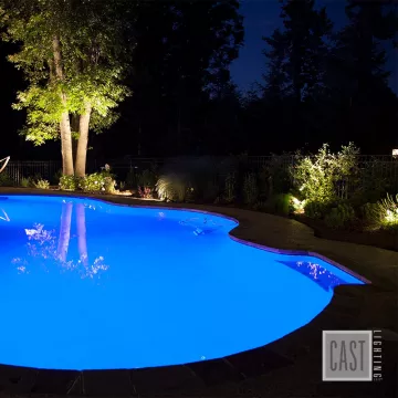 Backyard Pool Landscape Lighting