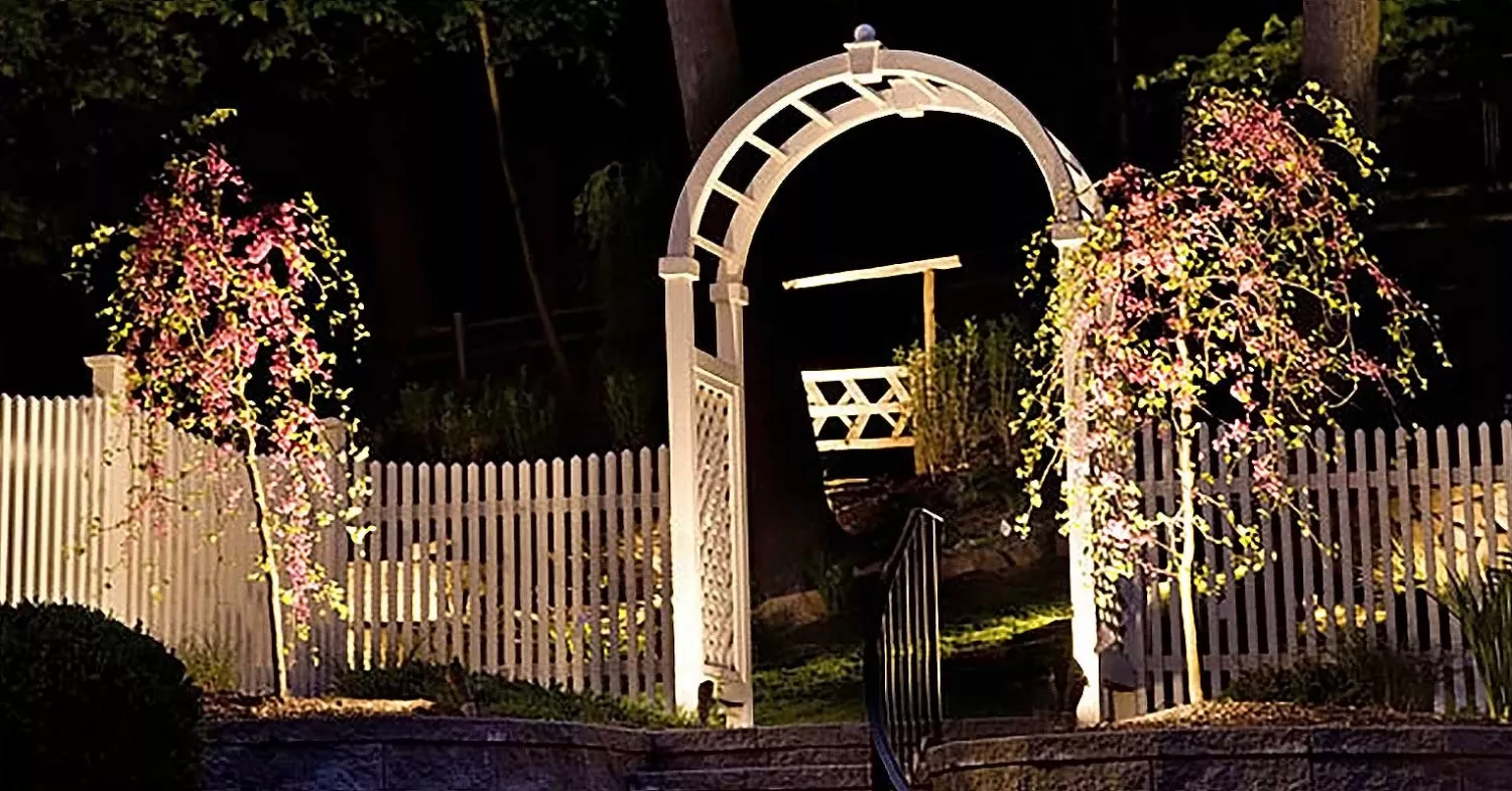 Landscape Lighting Ideas for Trees