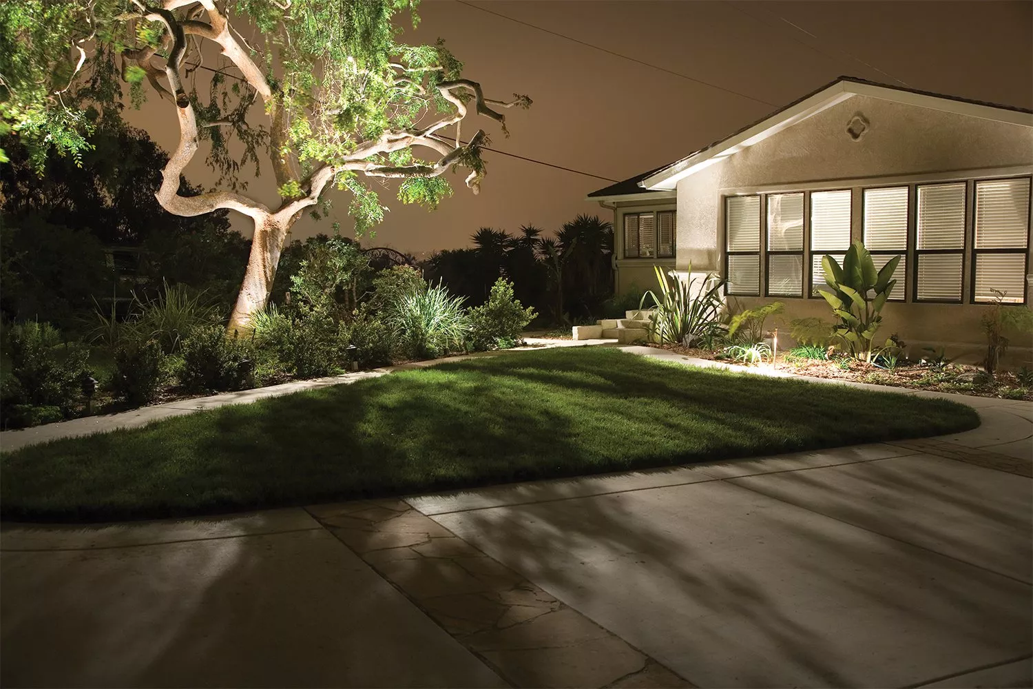 Backyard Moonlighting Installation