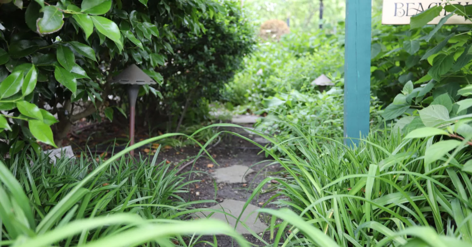 Quality, Durability, & Value: A Look into Why Landscaping Companies Choose CAST Lighting.
