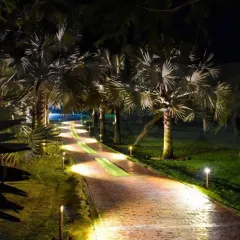 Bollard Path Light