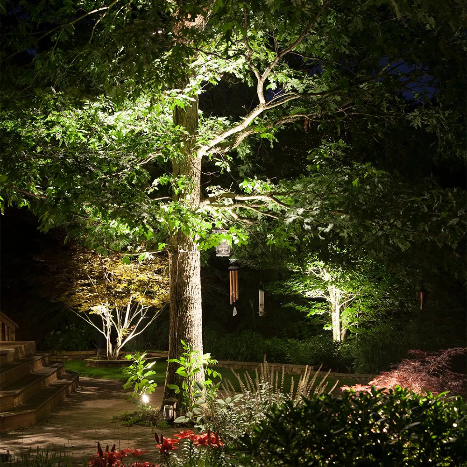 Tree Uplighting