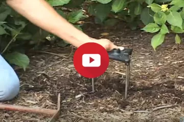 Large Talon Stake