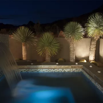 Poolside Tree Uplighting