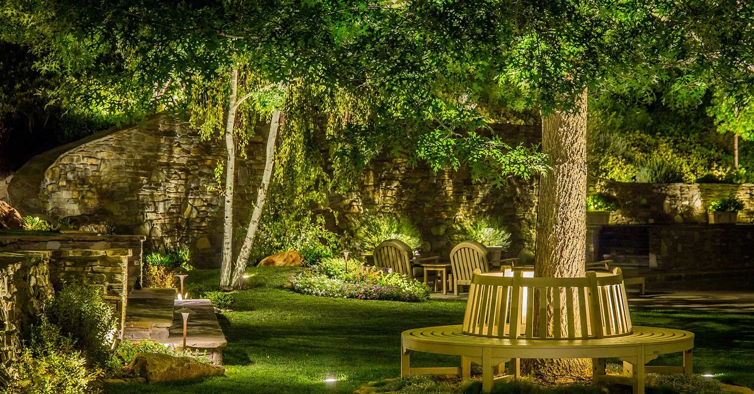 A Concise Guide to Tree Uplighting