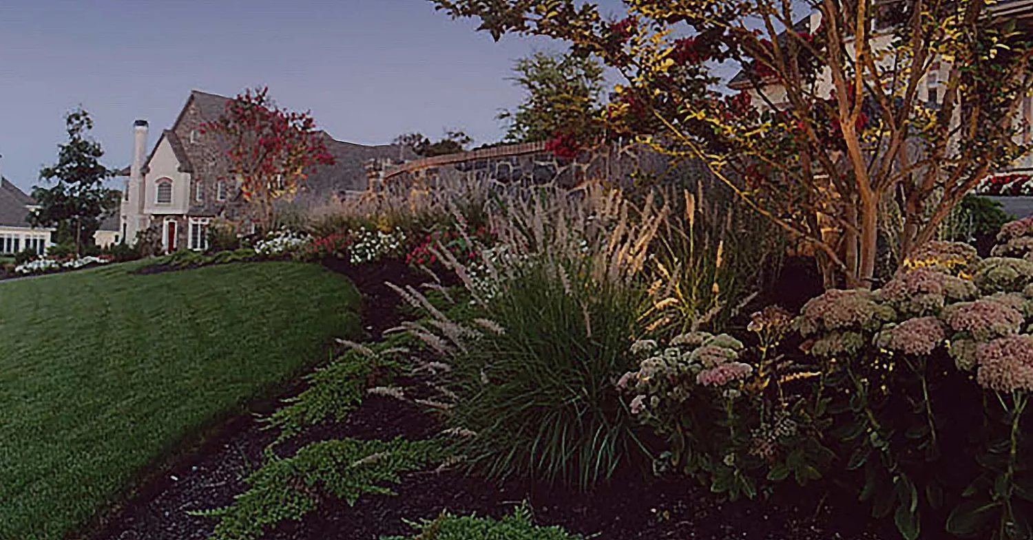 How to Create Visual Comfort in Your Backyard