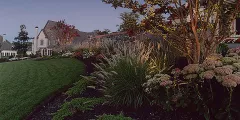 How to Create Visual Comfort in Your Backyard