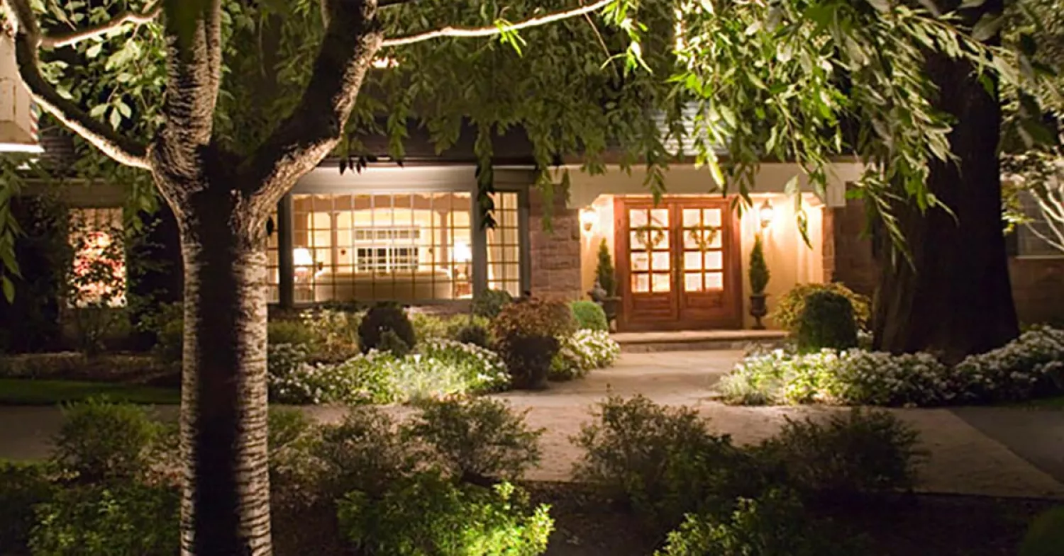 What to Look for When Buying Landscape Lights